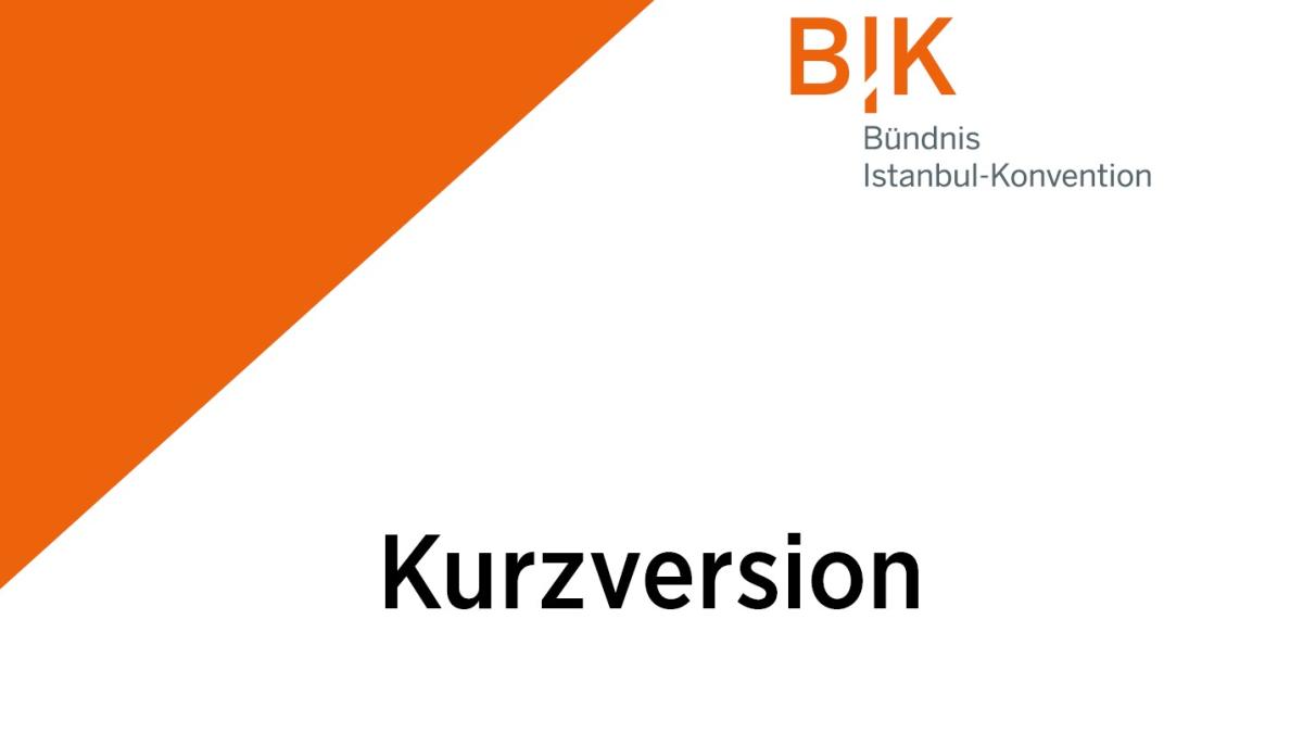 Titel Kurzversion Alternativbericht BIK